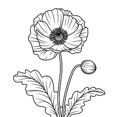 poppy flower illustration vector style coloring page 