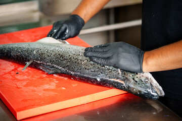 Salmon Filleting Process – Chef Cutting Fresh Salmon Fish for Cooking Preparation