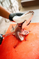 Salmon Filleting Process &ndash; Chef Cutting Fresh Salmon Fish for Cooking Preparation