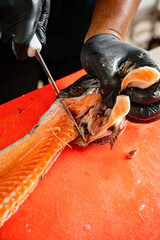 Salmon Filleting Process &ndash; Chef Cutting Fresh Salmon Fish for Cooking Preparation