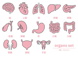 脳、心臓、肺など13種類の内臓・臓器イラストセット