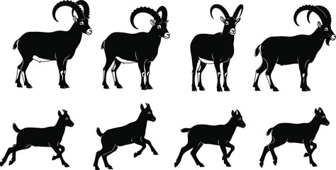 Black Goat and Ibex Silhouettes in Various Poses – Adult and Baby Animal Vector Set for Wildlife, Farm, and Nature Themes
