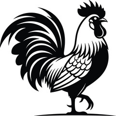 Elegant black and white rooster vector illustration with detailed feathers, stylized tail, farm animal art for stock image platforms