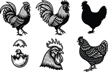 Set of Chicken and Rooster Vector Illustrations in Black and White Style for Farm, Food, Branding, and Poultry Design Projects