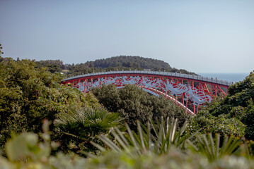 Colorful bridge spanning lush greenery, showcasing the unique charm and scenic beauty of Jeju Island