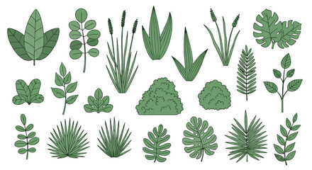 A collection of diverse green foliage elements for botanical illustrations and design projects.