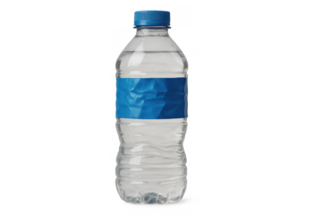 Plastic bottle containing clear water, featuring a blue twist cap and customizable blank label. Hydration and health concept
