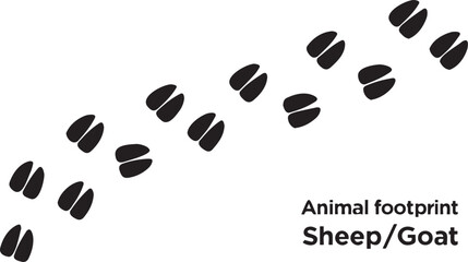 Black sheep or goat animal hoof prints and tracks following a nature trail isolated PNG with Transparent Background