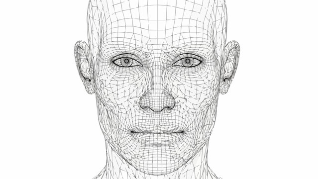 Digital 3D wireframe rendering of a human face.