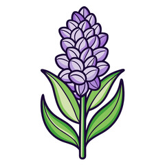  hyacinth flower line art 