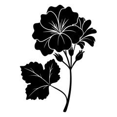  perennial geranium flower silhouette on white background