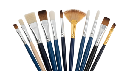 Collection of various artist paint brushes isolated on transparent background