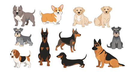 Fototapeta premium Large collection of popular dog breeds illustrated in a cute and colorful cartoon style, showing various poses isolated on white.