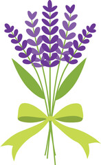 A bouquet of lavender flowers tied together with a light green ribbon bow, presented in a simple, flat vector illustration style.