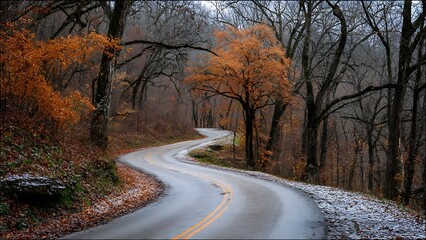Fototapeta premium Winding Road Through Autumn Trees in a Scenic Landscape