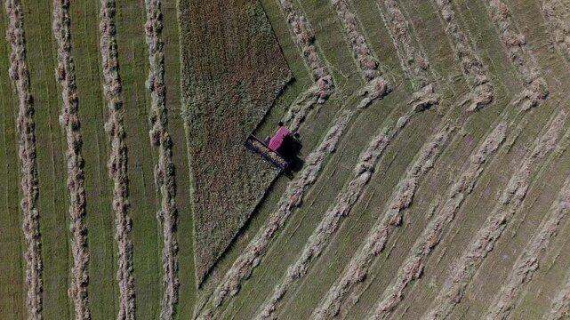 Aerial View of Combine Harvester Gathering Crop