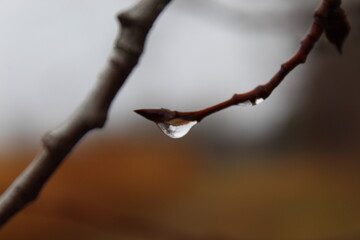 drop of water