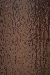A close-up of rusted metal with brown hues, dark patches, and uneven pitted texture showing corrosion.
