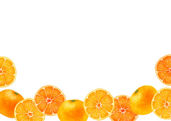 みかん　果物　背景 フレーム　水彩 イラスト