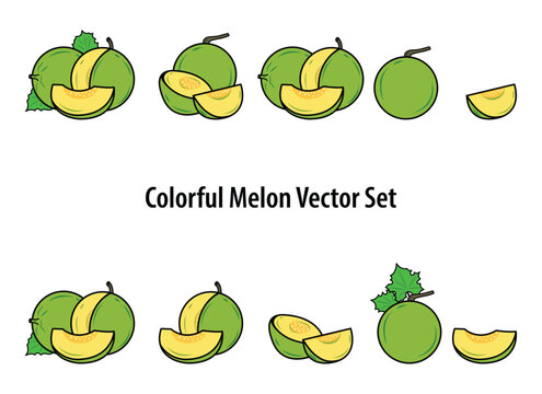simple Melon Fluit clip art. Melon Fruit Slica illustration for logo and elements decoration