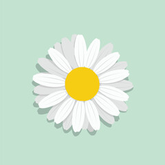 A cheerful minimalist illustration of a white daisy with a yellow center on a soft pastel background, evoking feelings of spring and simplicity.