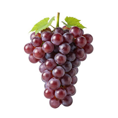 Fototapeta premium Bunch of Ripe Red Grapes with Green Leaves on Black Background fruit