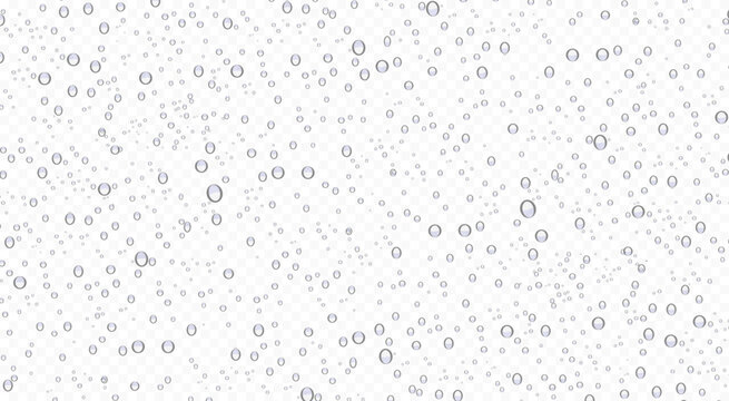 Realistic Water Drop Background with Transparent Droplets, Moisture Condensation, Splash Texture, Dew and Raindrop Effect for Clean Liquid Design