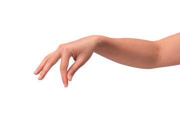 Close-up of a beautiful empty hand gesture isolated on a transparent PNG.
