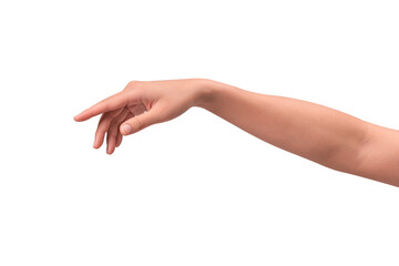 Close-up of a beautiful empty hand gesture isolated on a transparent PNG.
