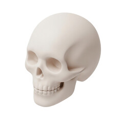 Obraz premium Anatomical Skull Model Isolated on White Background - A Detailed Representation