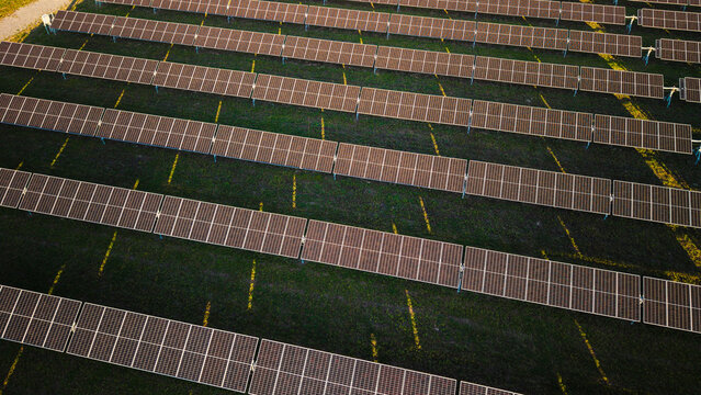 Aerial view of a solar power station with rows of photovoltaic panels arranged symmetrically on green grass during sunset light.