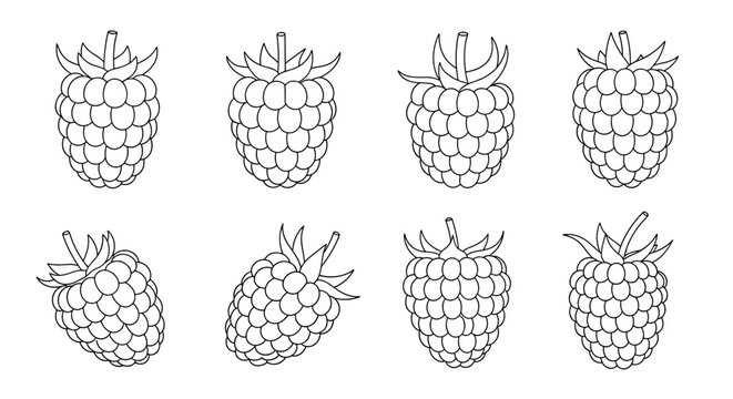 Collection of eight fresh raspberries shown from different angles in a simple black and white outline drawing style for coloring.