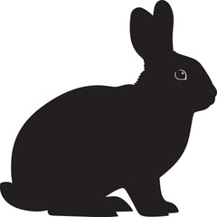 Black rabbit standing upright isolated on © Shipon