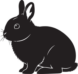Black lopeared rabbit walking isolated on