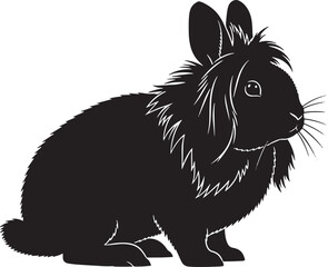 Black rabbit sitting isolated on, a charming creature