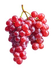 Fototapeta premium A close-up studio shot presents a ripe bunch of ruby-red grapes against a stark white backdrop, showcasing their texture