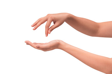 Close-up of beautiful empty hand gesture isolated on a transparent PNG.
