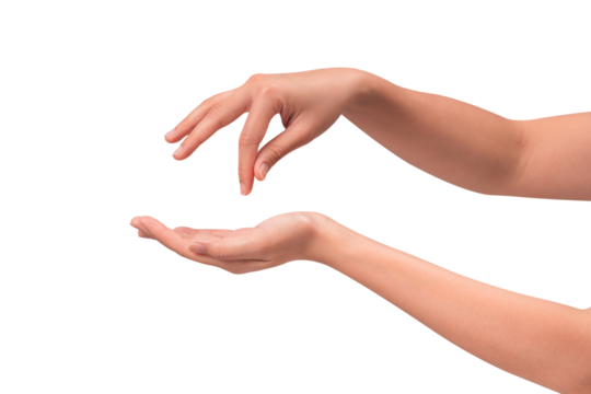Close-up of beautiful empty hand gesture isolated on a transparent PNG.
