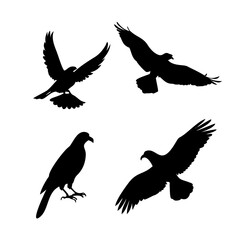 Fototapeta premium Four black bird silhouettes, eagles and hawks in various flying and standing poses. four