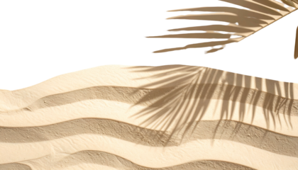 Sandy beach with shadows of palm leaves against a dark, contrasting background