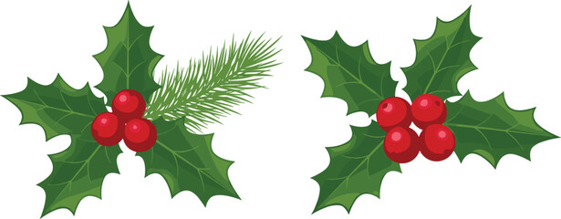 Traditional Christmas Holly Berry and Pine Branch Vector Illustration Set, Featuring Green Leaves, Red Berries, and Festive Holiday Decoration Art.