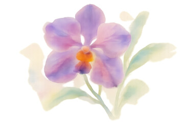 Watercolor painting featuring a vibrant purple orchid flower with green leaves, creating a delicate botanical illustration on a transparent background