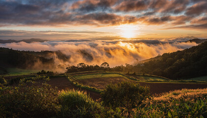 Breathtaking sunrise over misty valley with vibrant colors, a tranquil escape that brings peace and relaxation, perfect for travel and nature projects