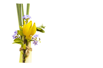 yellow flowers ylang ylang with lemon grass flora of asia  arrangement flat lay postcard style 