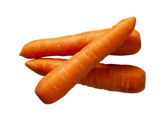 bunch carrot isolated on white