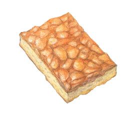 フロランタン　フランス伝統菓子　水彩色鉛筆イラスト