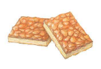 フロランタン　フランス伝統菓子　水彩色鉛筆イラスト
