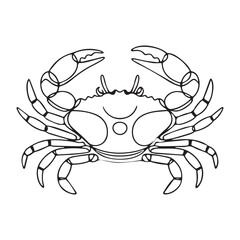 One continuous line illustration of an crab, isolated on white background.