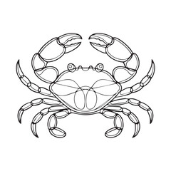 One continuous line illustration of an crab, isolated on white background.