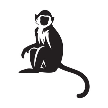 vector illustration of a monkey sitting